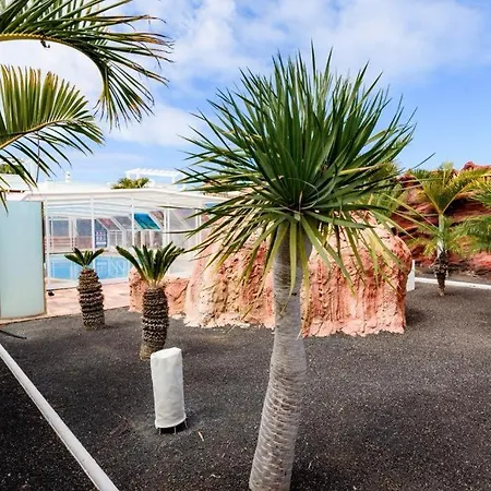 Lanzarote Olive 普拉亚布兰卡